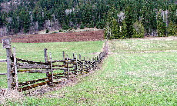 the-old-fence-line-ed-mosier